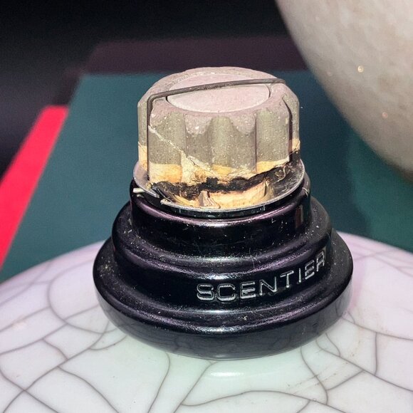 Set of 2 Large Catalytic Fragrance Defusers- 1 is Scentier Aromatherapy - Picture 9 of 12